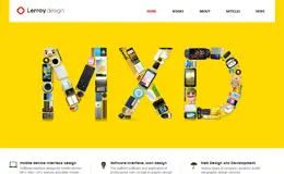 lerroy design 品牌与用户体验设计