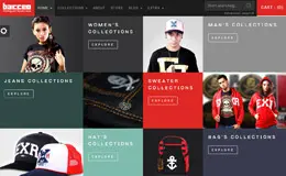 Bacceo Metro风格电子商务模板设计