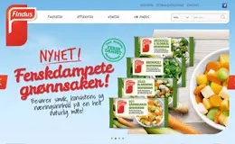 Findus Norge AS食品公司
