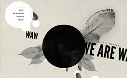 Wanaka创作工作室