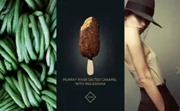 Connoisseur冰淇淋网站