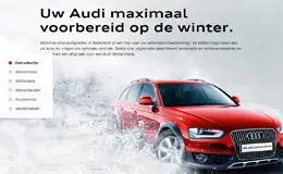 奥迪的冬季运动