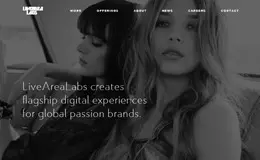 LiveAreaLabs电子商务网站设计与开发