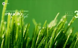Prugio网络杂志