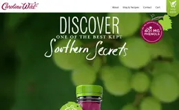 Carolina野生果汁