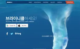 Brinicle应用网站