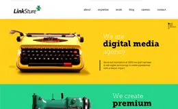 LinkSture数字媒体机构