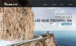 BlueLink产品网站