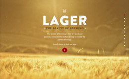 The Beauty of Brewing