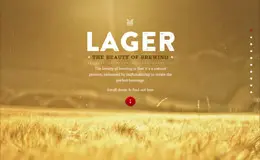 The Beauty of Brewing