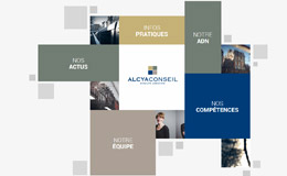 Alcya conseil律师事务所