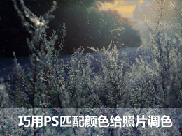 蓝草庄园:巧用PS匹配颜色给照片调色