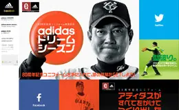 Adidas Baseball