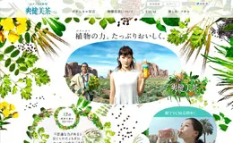 植物饮料爽健美茶