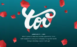 Toi网站设计与移动代理