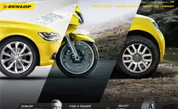 Dunlop轮胎网站