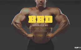 SLMF体育健身俱乐部