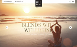 Harbor Suites 酒店网站