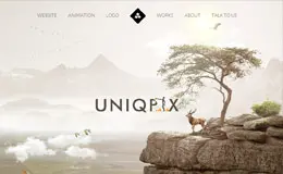 Uniqpix网站设计与开发