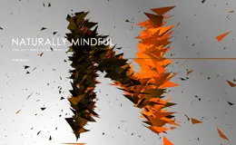 Activation Nodeplus数字创意机构