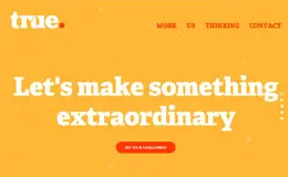 True Digital全方位数字营销机构