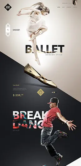 SHOE GURU鞋子商店网站设计