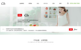 CLH深圳网页设计公司-界面简洁大气，营销类网站