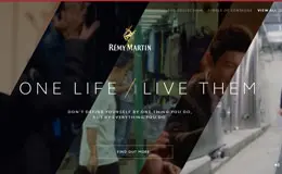 Remy Martin酒网站