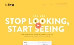 LINGO产品网站