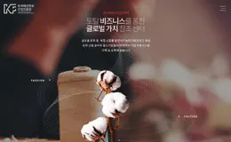 韩国时尚文化产业振兴院网站