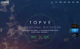 TOPVE 唯艺互动 专注高端网站界面设计