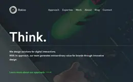 Rokivo设计网站
