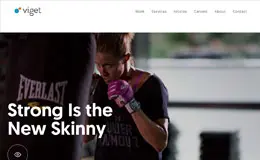 Viget设计开发网站