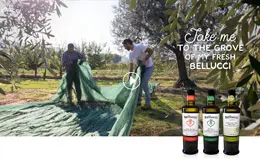 Bellucci Premium-意大利特级初榨橄榄油网站