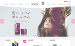 SKNY美发产品企业网站