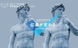 Stria Clinic日本脱毛医疗专科医院
