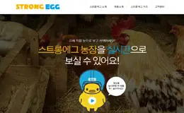STRONGEGG企业网站