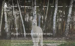 波兰羊驼饲养基地