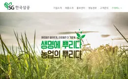 韩国三球企业网站