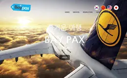 承运人运输服务的首尔机场网站