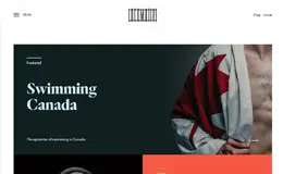 Locomotive网页设计机构