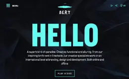 Bert设计公司网站