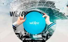 wildlife让我们疯狂