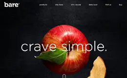 BARESNACKS水果片点心美食网站