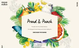 Proud & Punch