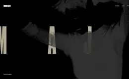 法国巴黎Pierre Nguyen自由设计师网站