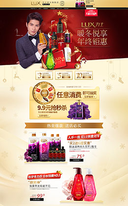 力士家居用品日用百货美发洗护淘宝双12来了 1212品牌盛典 双十二预售天猫首页专题页面设计