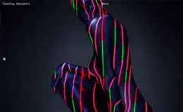 Timothy Saccenti导演摄影师网站