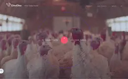 Glouglou圣诞火鸡路由器产品网站