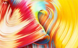 Ari Weinkle设计师和艺术家个人网站